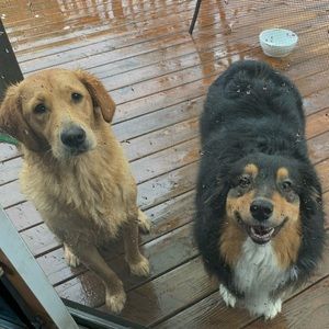 Meet your Posher, Cate